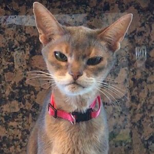 Meet your Posher, Kimberly